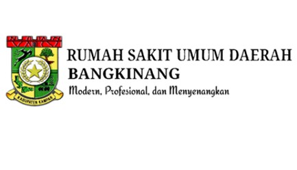 https://rsudbangkinang.kamparkab.go.id/